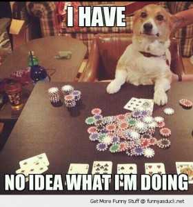 funny-no-idea-doing-dog-playing-poker-pics-2